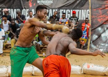 DAMBE FIGHTERS PUNCHING