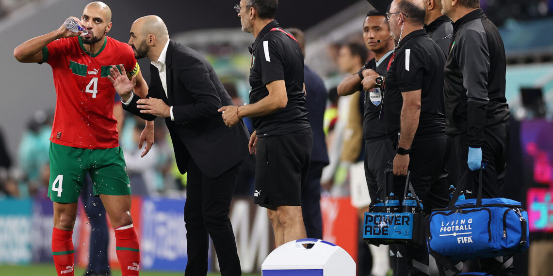 World Cup: Picking Morocco’s top five performers in Qatar