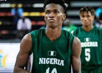 FIBA W/C: D’Tigers secure comeback win over Guinea 