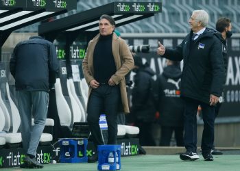 Labbadia: Nigerians react to appointment of new Super Eagles coach