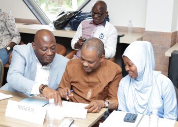 Nigeria’s Ademola Are elected 1st Vice President of Union of West African Rugby Federations