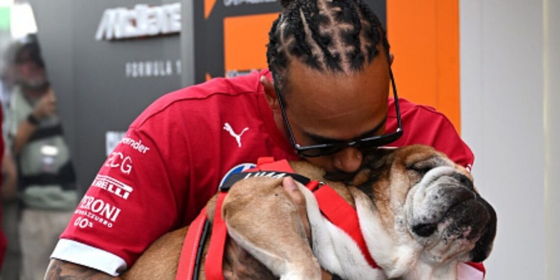 PSG captain Marquinhos ruled out for weeks with thigh injury